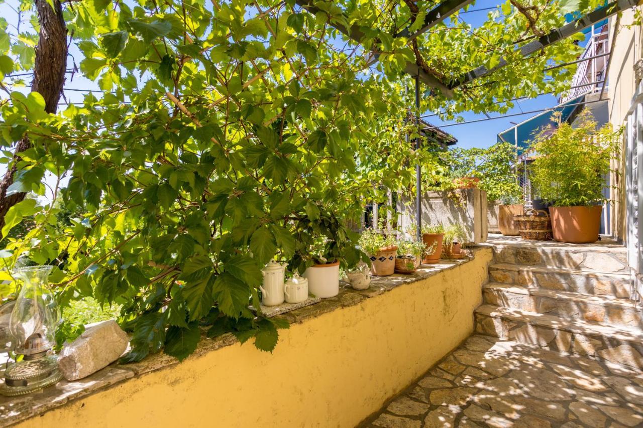 Charming Studio Apartment At House Rustica With Terrace And Nearby Parking Punat Kültér fotó